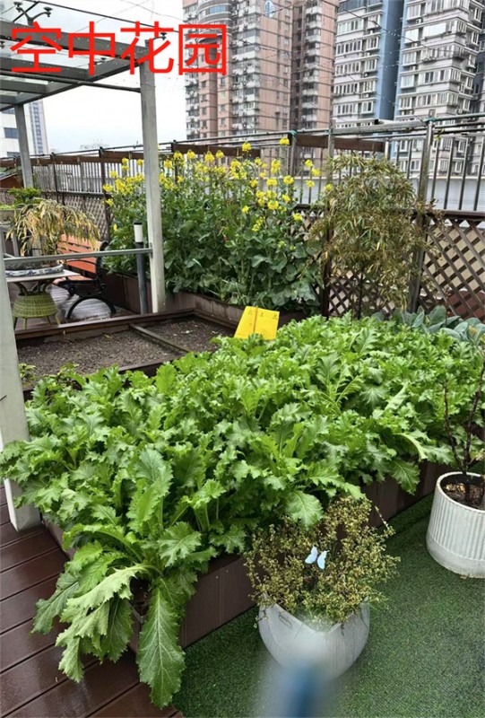 空中花园
